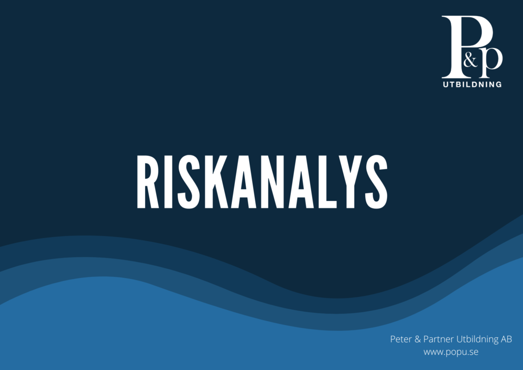 Riskanalys mall