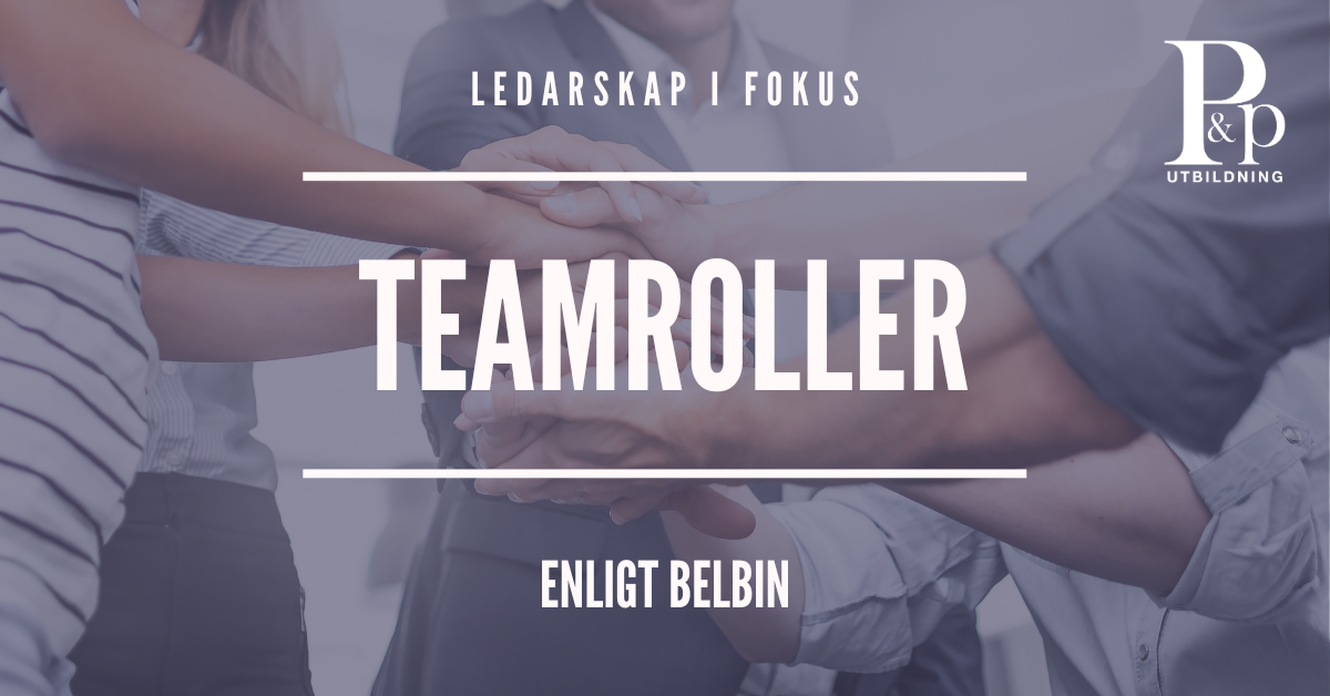 Teamroller Belbin
